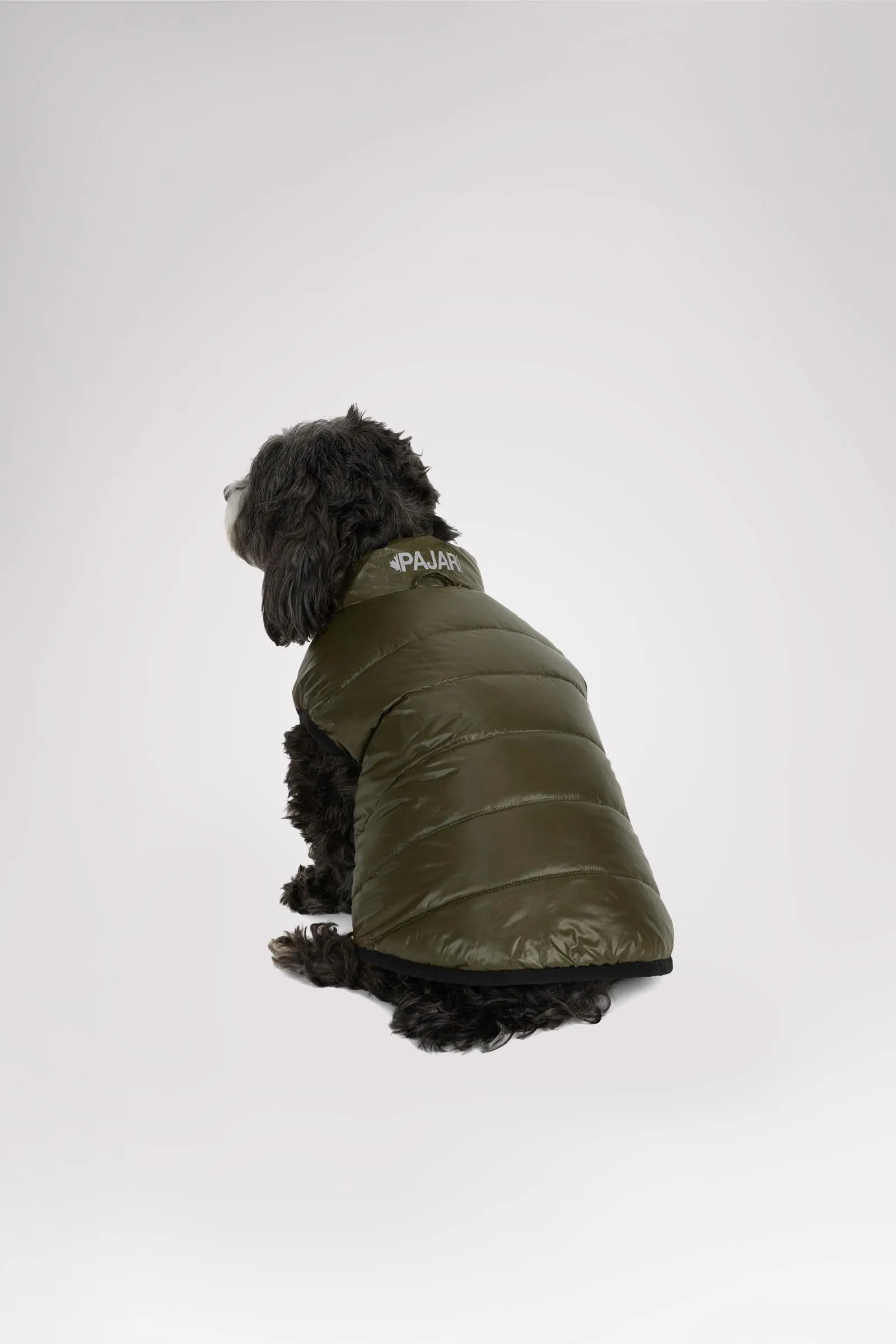 Cora Reversible Packable Puffer for Dogs