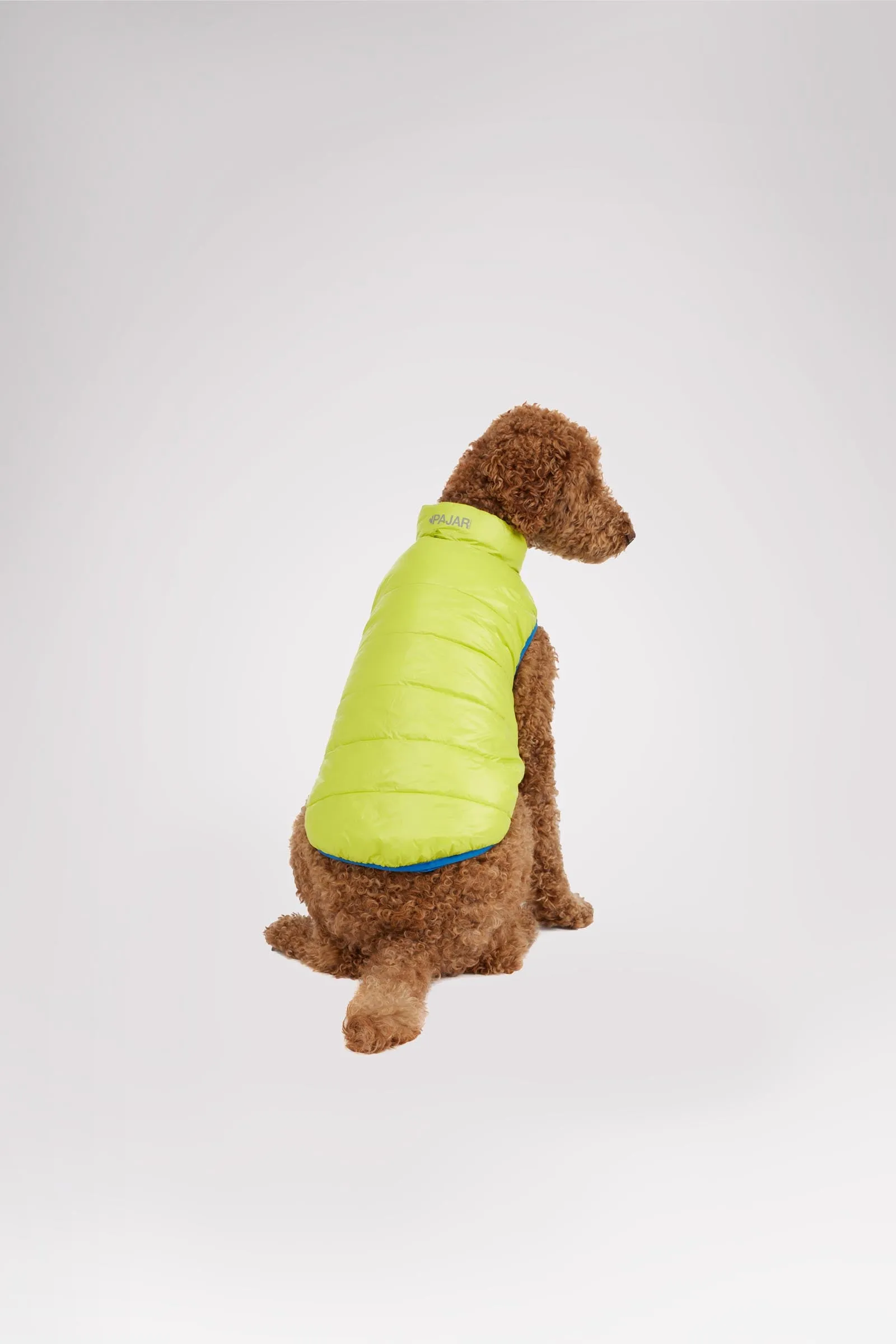 Cora Reversible Packable Puffer for Dogs