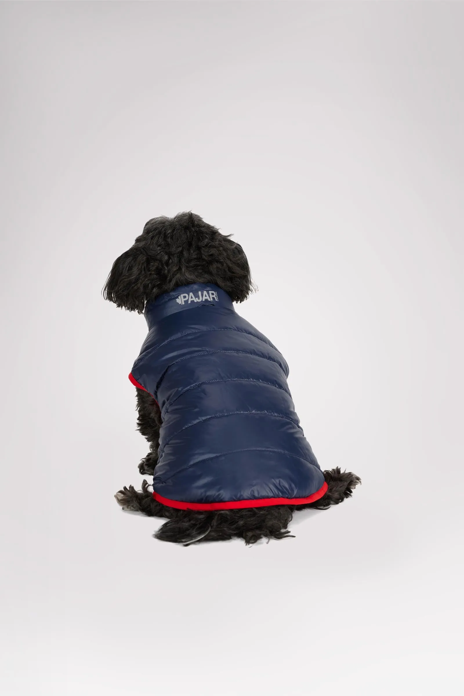 Cora Reversible Packable Puffer for Dogs