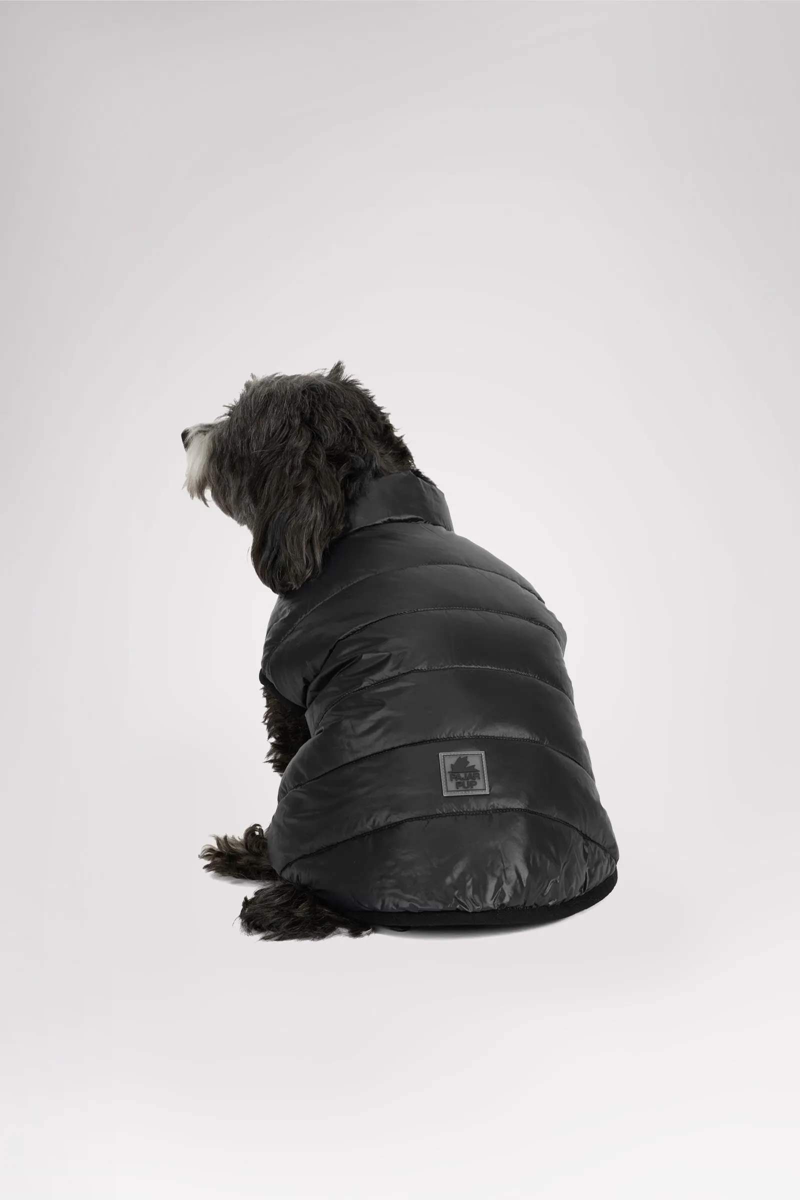 Cora Reversible Packable Puffer for Dogs