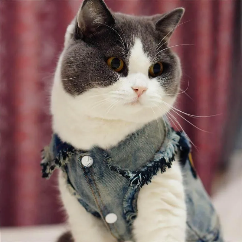 Pet Cowboy Jean Jacket