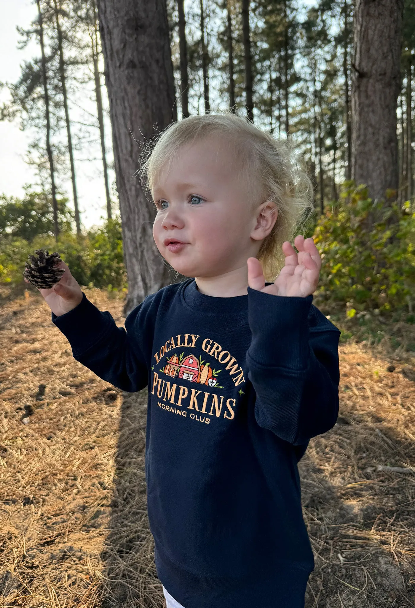 Pumpkins Embroidered Organic Cotton Childrens Sweatshirt