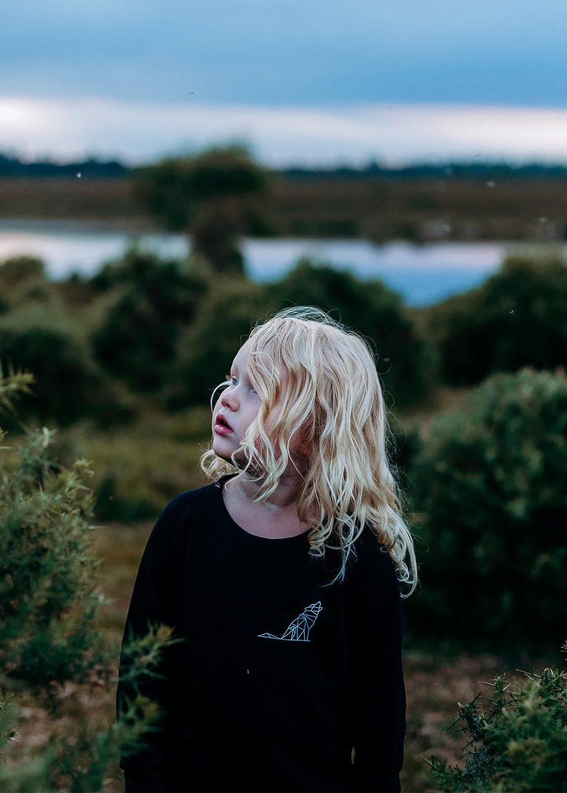 Simplistic Wolf Raglan Kids Sweat